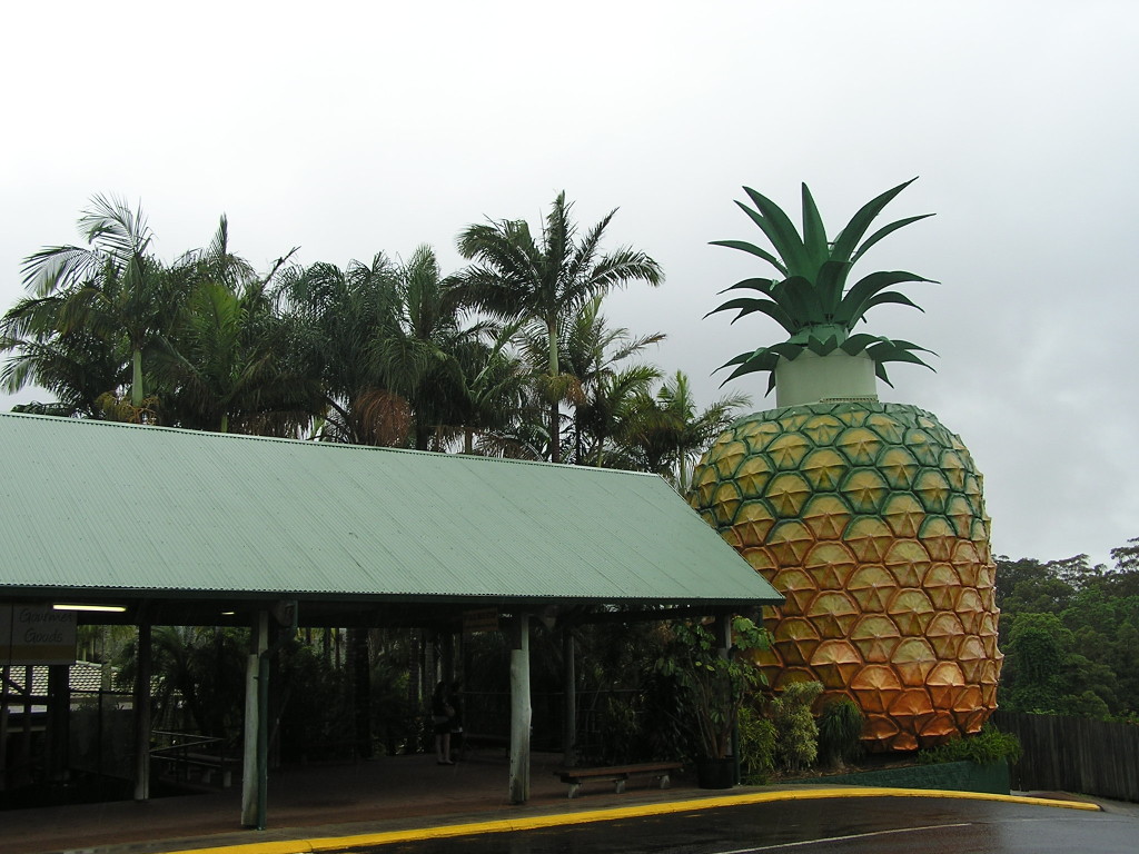 The Big Pineapple, Woombye, Sunshine Coast, décembre 2011